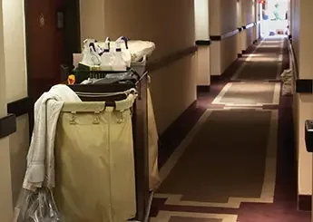 Professional Cleaning in Hotel 1 housekeepers